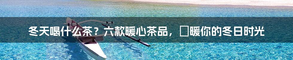 冬天喝什么茶?六款暖心茶品,溫暖你的冬日时光