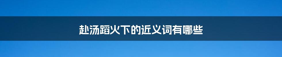 赴汤蹈火下的近义词有哪些