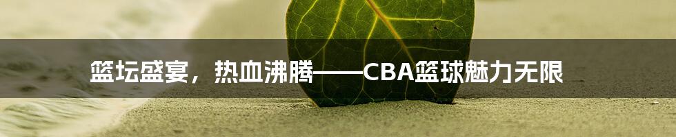 篮坛盛宴,热血沸腾——CBA篮球魅力无限