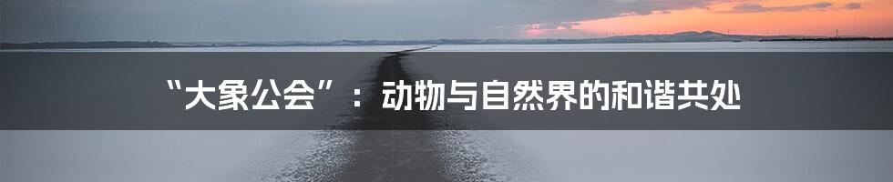 “大象公会”:动物与自然界的和谐共处