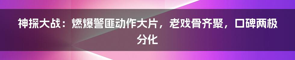 神探大战：燃爆警匪动作大片，老戏骨齐聚，口碑两极分化