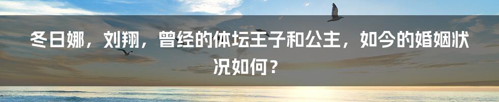 冬日娜，刘翔，曾经的体坛王子和公主，如今的婚姻状况如何？