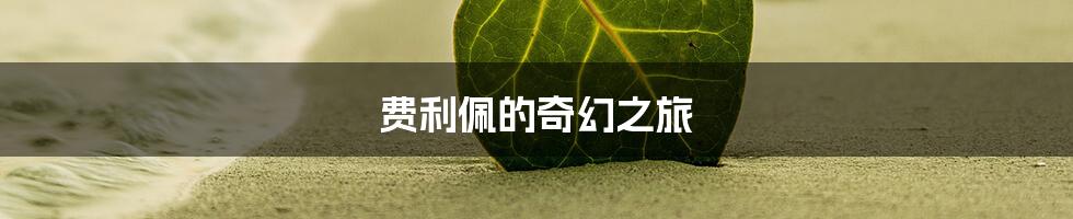 费利佩的奇幻之旅