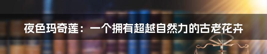 夜色玛奇莲:一个拥有超越自然力的古老花卉