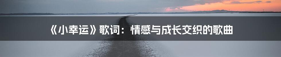 《小幸运》歌词：情感与成长交织的歌曲