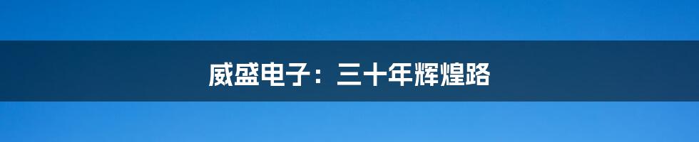 威盛电子：三十年辉煌路