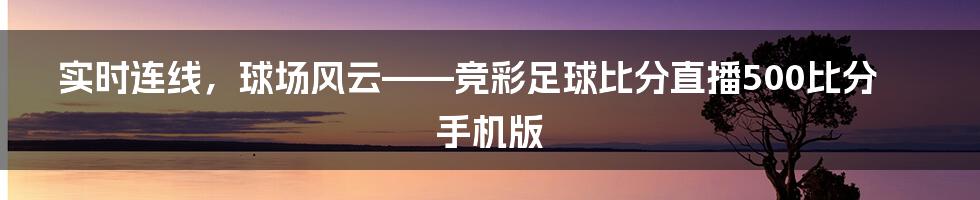 实时连线,球场风云——竞彩足球比分直播500比分手机版