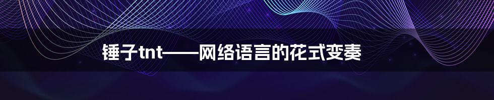 锤子tnt——网络语言的花式变奏