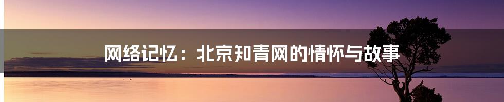 网络记忆：北京知青网的情怀与故事