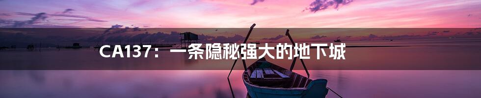 CA137：一条隐秘强大的地下城