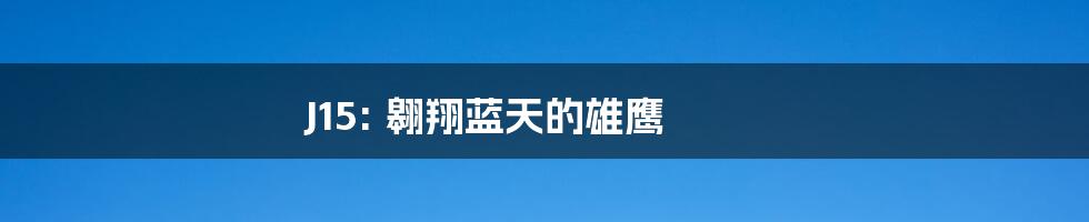 J15: 翱翔蓝天的雄鹰