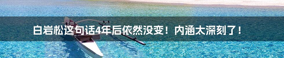 白岩松这句话4年后依然没变!内涵太深刻了!