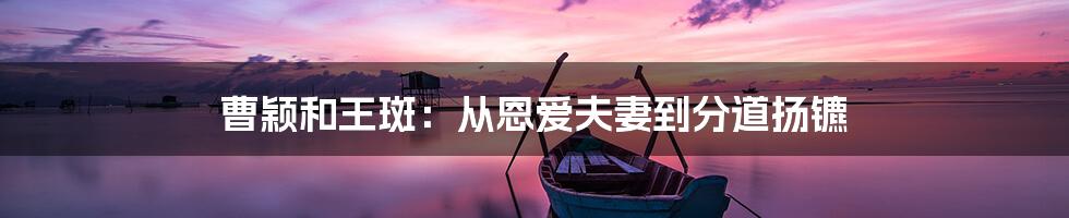 曹颖和王斑:从恩爱夫妻到分道扬镳