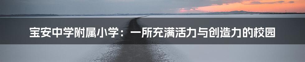 宝安中学附属小学：一所充满活力与创造力的校园