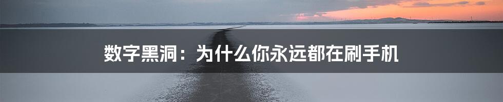 数字黑洞：为什么你永远都在刷手机