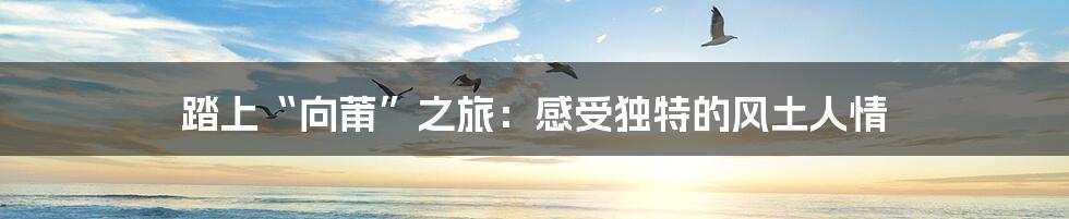 踏上“向莆”之旅:感受独特的风土人情