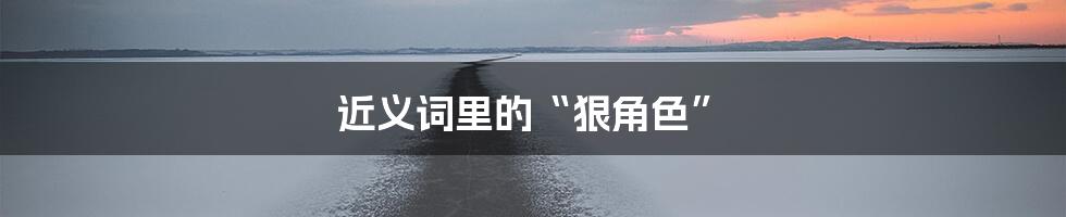 近义词里的“狠角色”