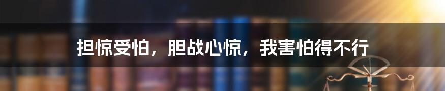 担惊受怕,胆战心惊,我害怕得不行