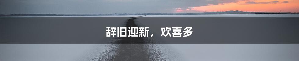 辞旧迎新，欢喜多