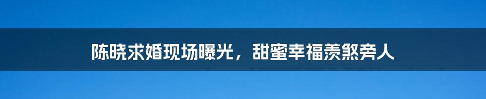 陈晓求婚现场曝光，甜蜜幸福羡煞旁人