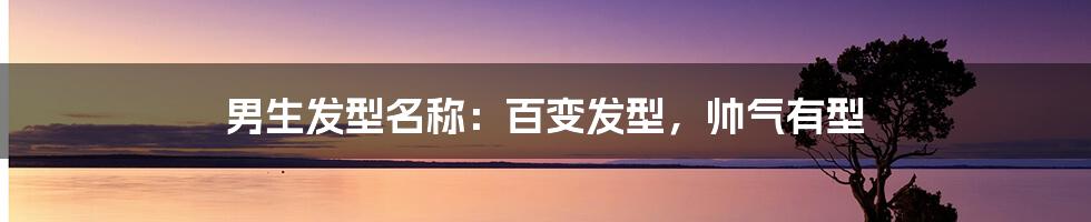 男生发型名称:百变发型,帅气有型