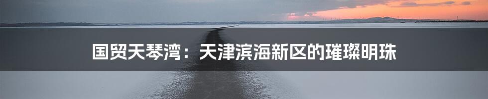 国贸天琴湾:天津滨海新区的璀璨明珠
