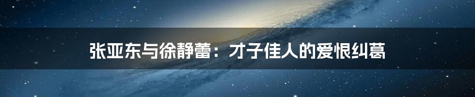 张亚东与徐静蕾:才子佳人的爱恨纠葛