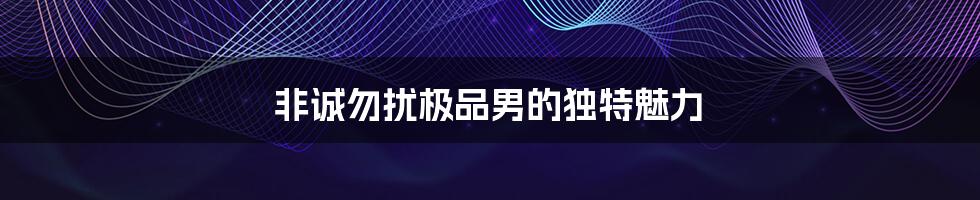 非诚勿扰极品男的独特魅力