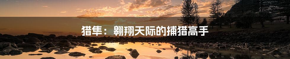 猎隼:翱翔天际的捕猎高手