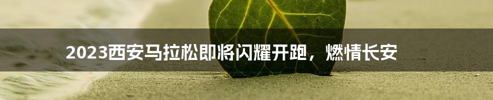 2023西安马拉松即将闪耀开跑,燃情长安