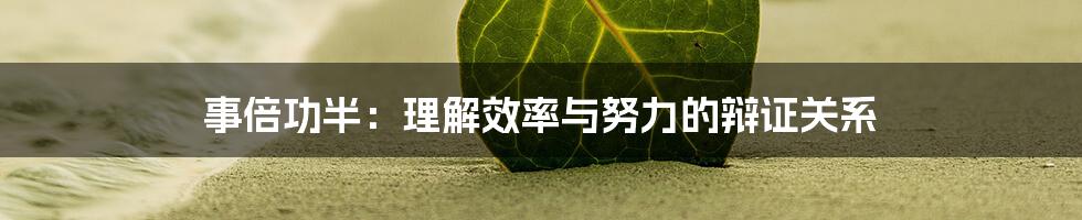 事倍功半:理解效率与努力的辩证关系