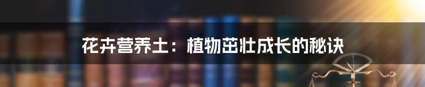 花卉营养土：植物茁壮成长的秘诀