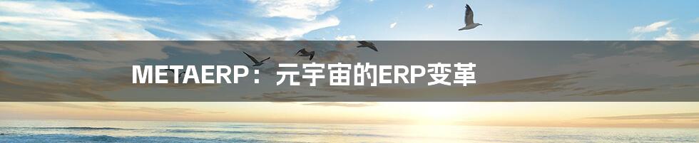 METAERP:元宇宙的ERP变革