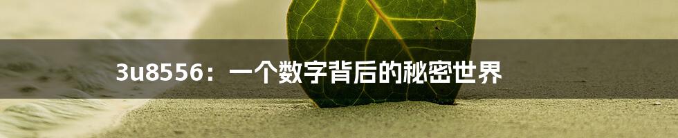 3u8556:一个数字背后的秘密世界