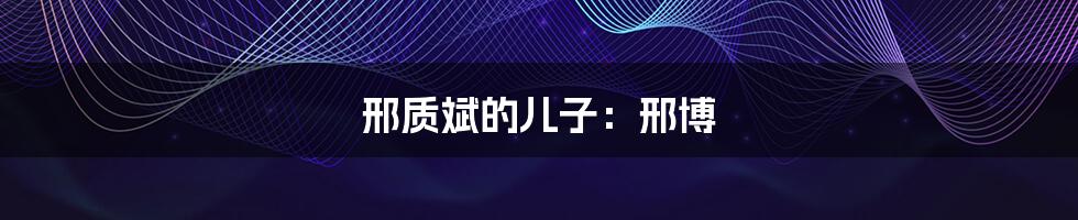 邢质斌的儿子:邢博