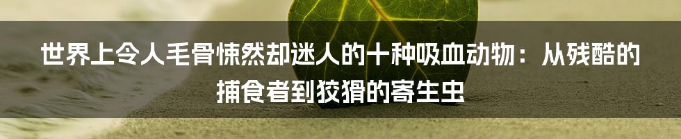 世界上令人毛骨悚然却迷人的十种吸血动物：从残酷的捕食者到狡猾的寄生虫