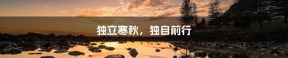 独立寒秋,独自前行