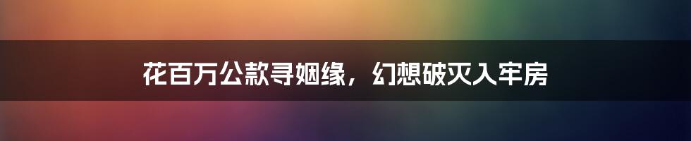 花百万公款寻姻缘,幻想破灭入牢房