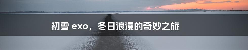 初雪 exo,冬日浪漫的奇妙之旅