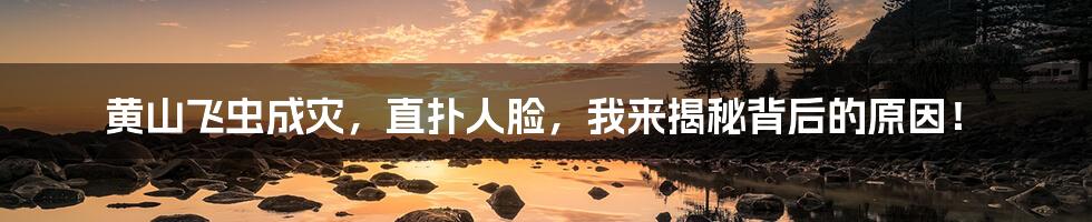 黄山飞虫成灾，直扑人脸，我来揭秘背后的原因！