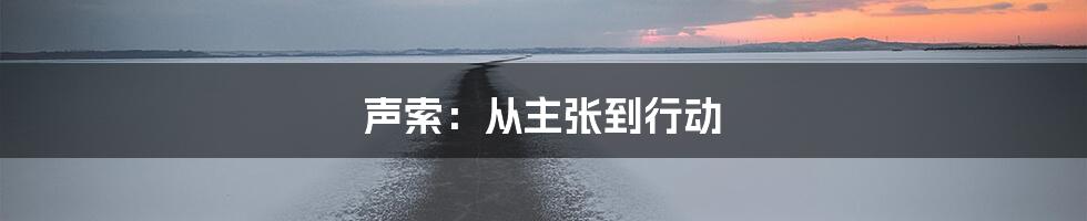 声索:从主张到行动