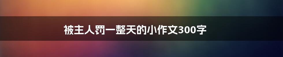 被主人罚一整天的小作文300字
