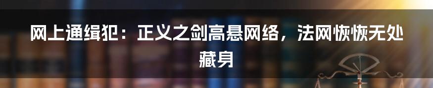 网上通缉犯:正义之剑高悬网络,法网恢恢无处藏身