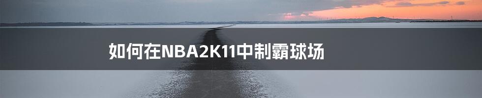 如何在NBA2K11中制霸球场