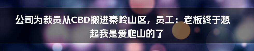 公司为裁员从CBD搬进秦岭山区，员工：老板终于想起我是爱爬山的了