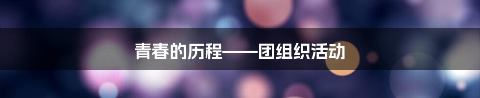 青春的历程——团组织活动