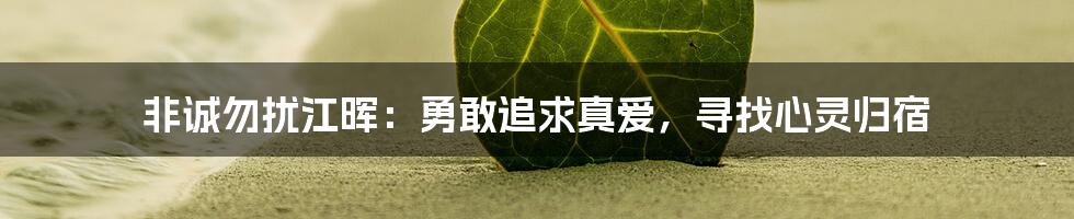 非诚勿扰江晖:勇敢追求真爱,寻找心灵归宿