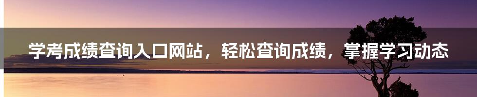 学考成绩查询入口网站，轻松查询成绩，掌握学习动态