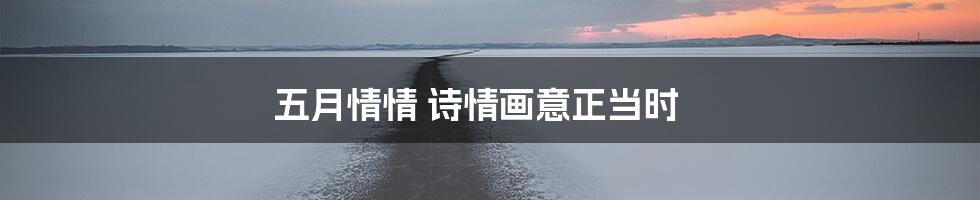 五月情情 诗情画意正当时