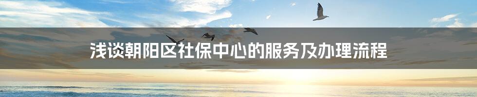 浅谈朝阳区社保中心的服务及办理流程